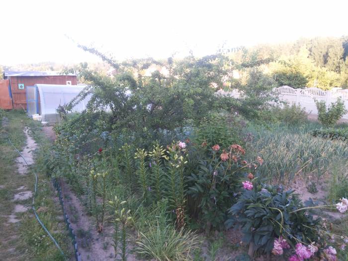Участок продам, Домашаны, фотография 2