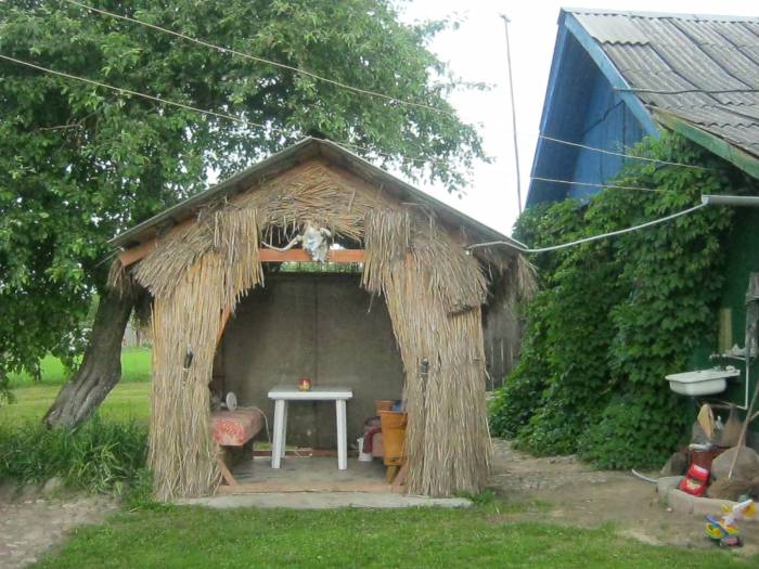 продам усадьбу на берегу озера, глубокое, фотография 6