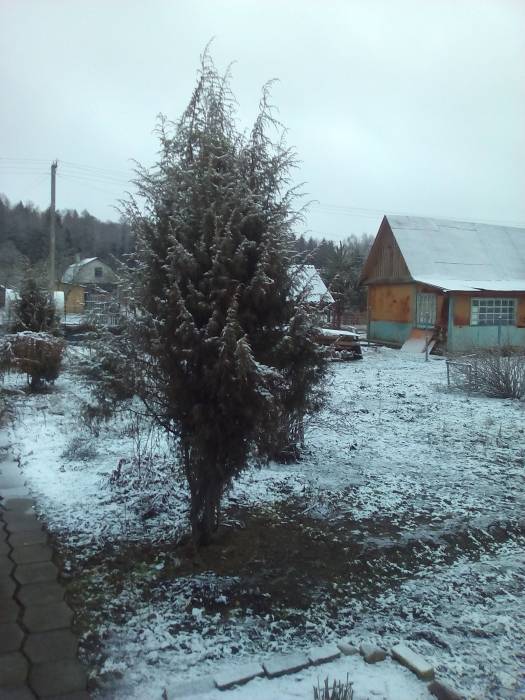 Продам дачу, фотография 5