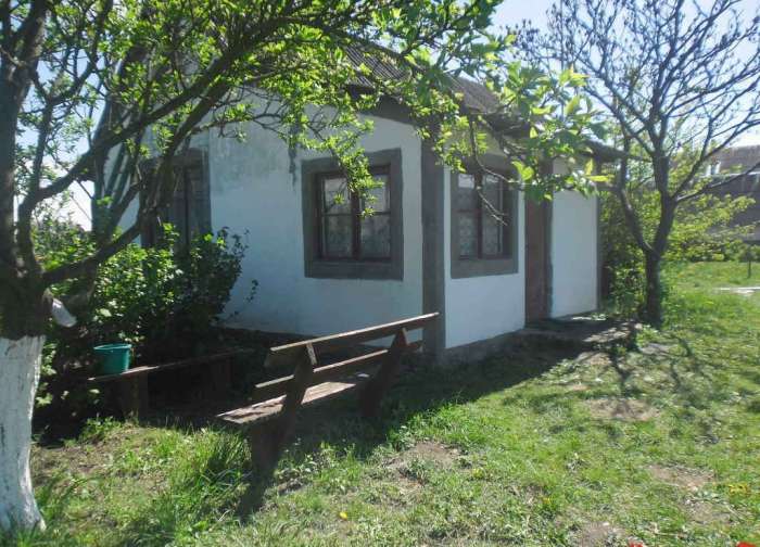 Дом с гаражом в деревне Петьки, 3 км от Кобрина, фотография 2