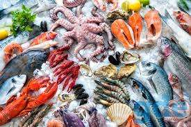 Интересует сотрудничество в сфере свежемороженая рыба и морепродукты, фотография 1