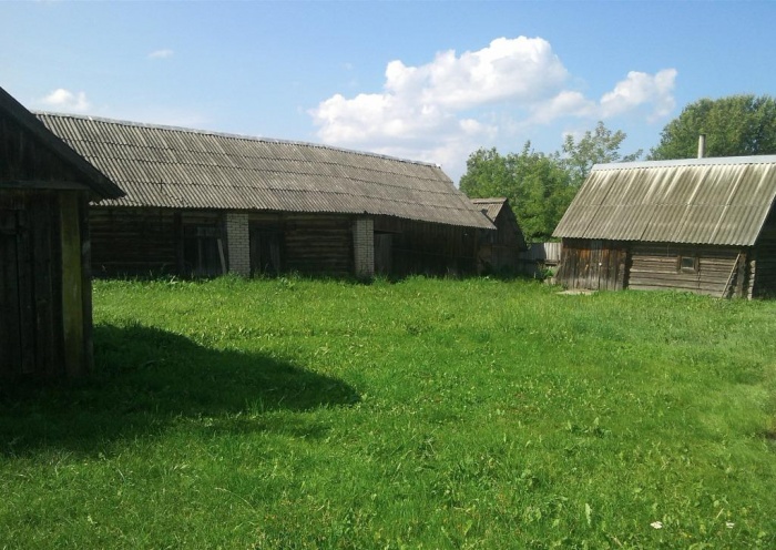 Дом Беларусь, Крупский район, д. Дубровка, фотография 2