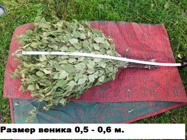 Веники БАННЫЕ, фотография 2