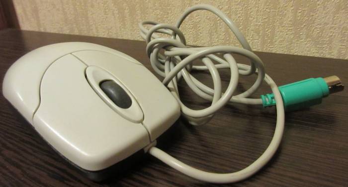 Мышь Genius NetScroll 120 PS/2, фотография 1