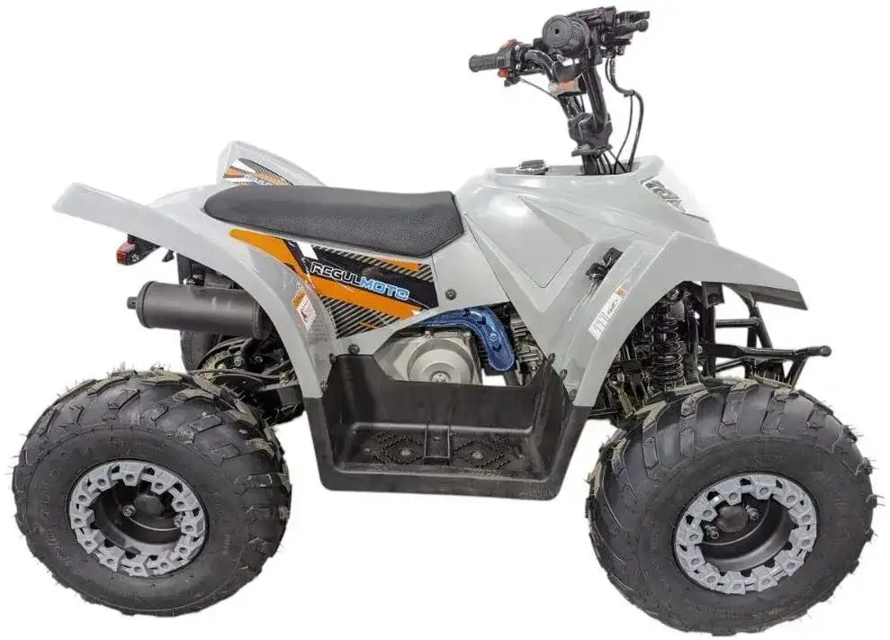 Квадроцикл Regulmoto SK11 (к-т з/ч), фотография 6