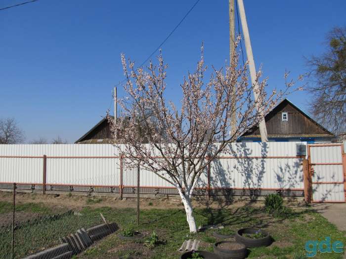 Продам отличный дом с газовым отоплением, пушкина 42, фотография 3