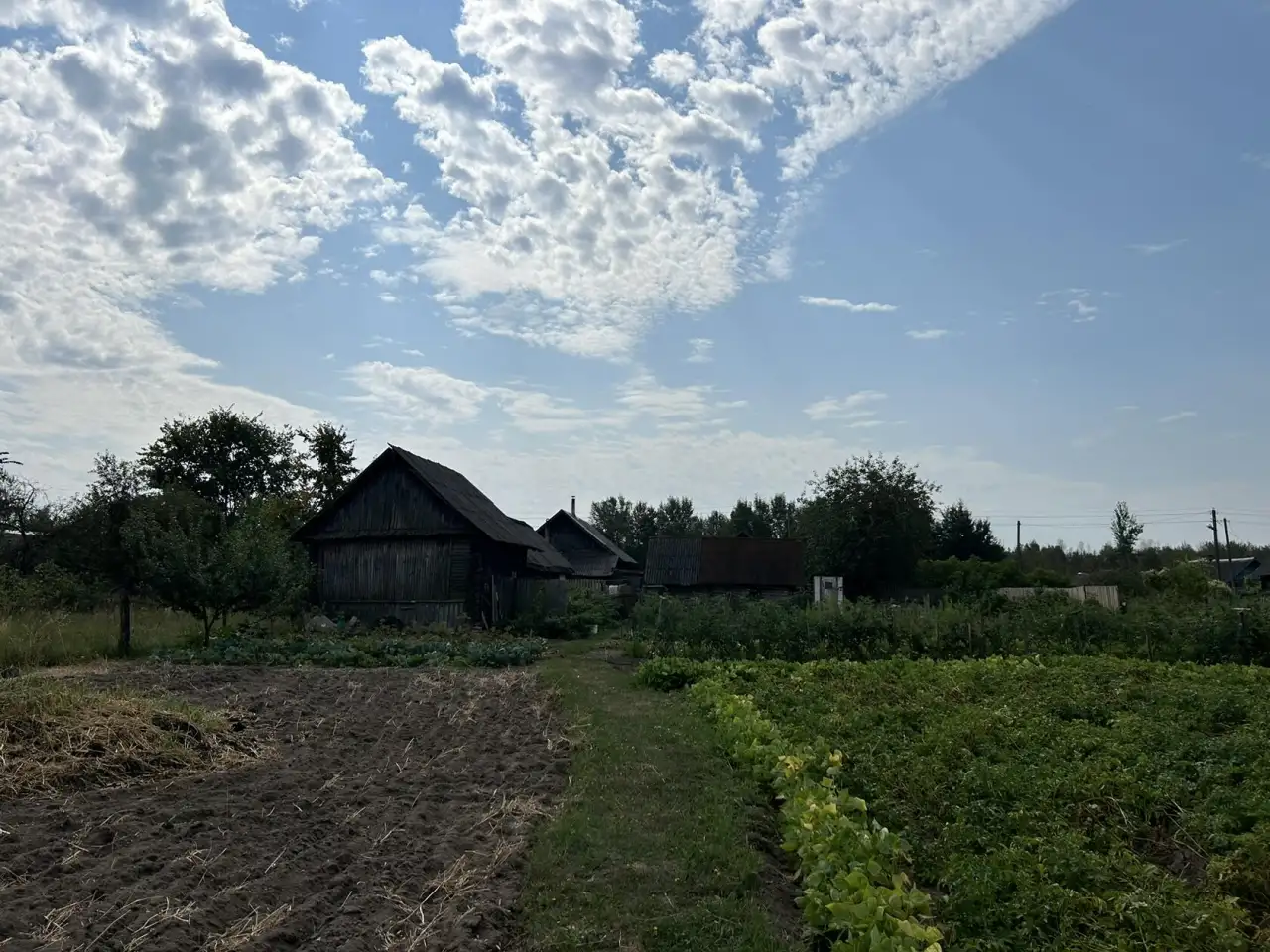 Продам дом, Д. Корени, фотография 7