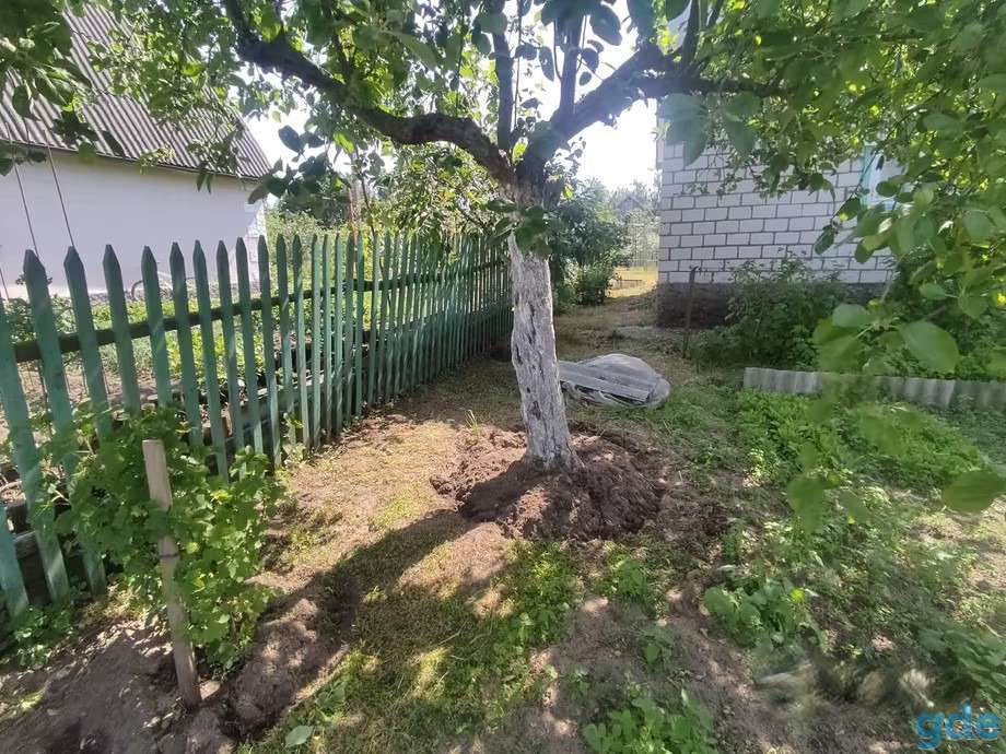 Продаем дачу в Рудне Споницкой, в кооперативе СТ 