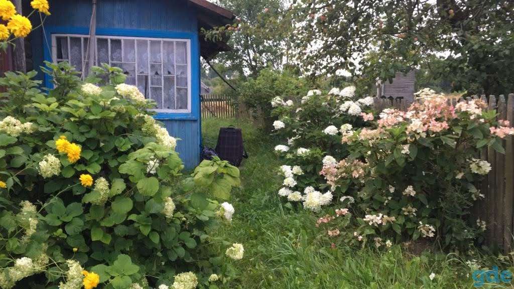 Дом с участком в Березинском заповеднике, Витебская область, район, д. Домжерицы, фотография 6