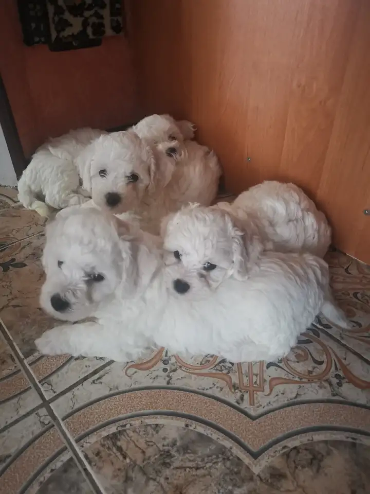 Продажа, фотография 1