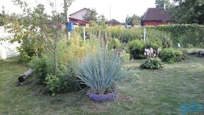 Продам современную дачу, фотография 2
