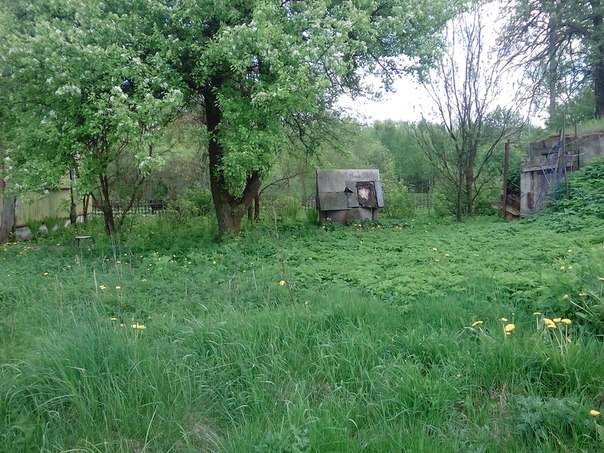 Продам дом, фотография 3