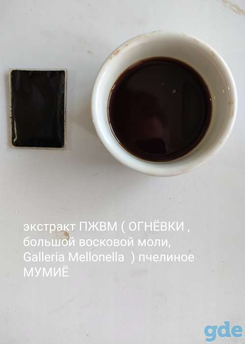 Огневка , ПЖВМ , пчелиное мумиё , мёд с экстрактом пчелиного мумиё., фотография 3