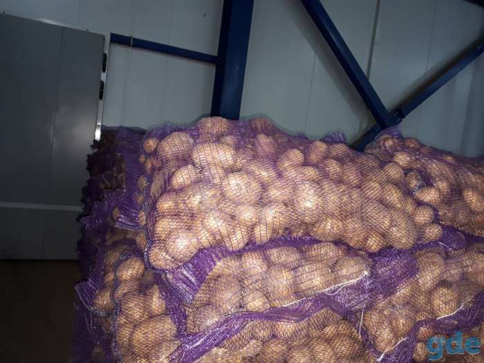 Продаем продовольственный  картофель., фотография 3