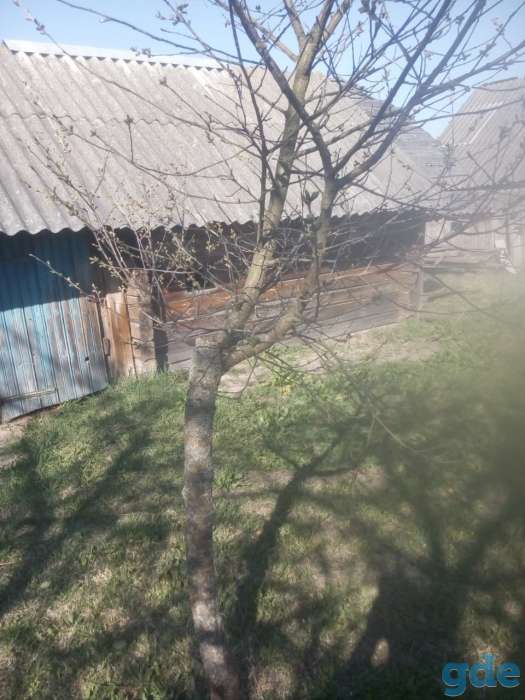 Продать дом, Брестская область. Ганцевический район. Деревня Огаревичи, фотография 9