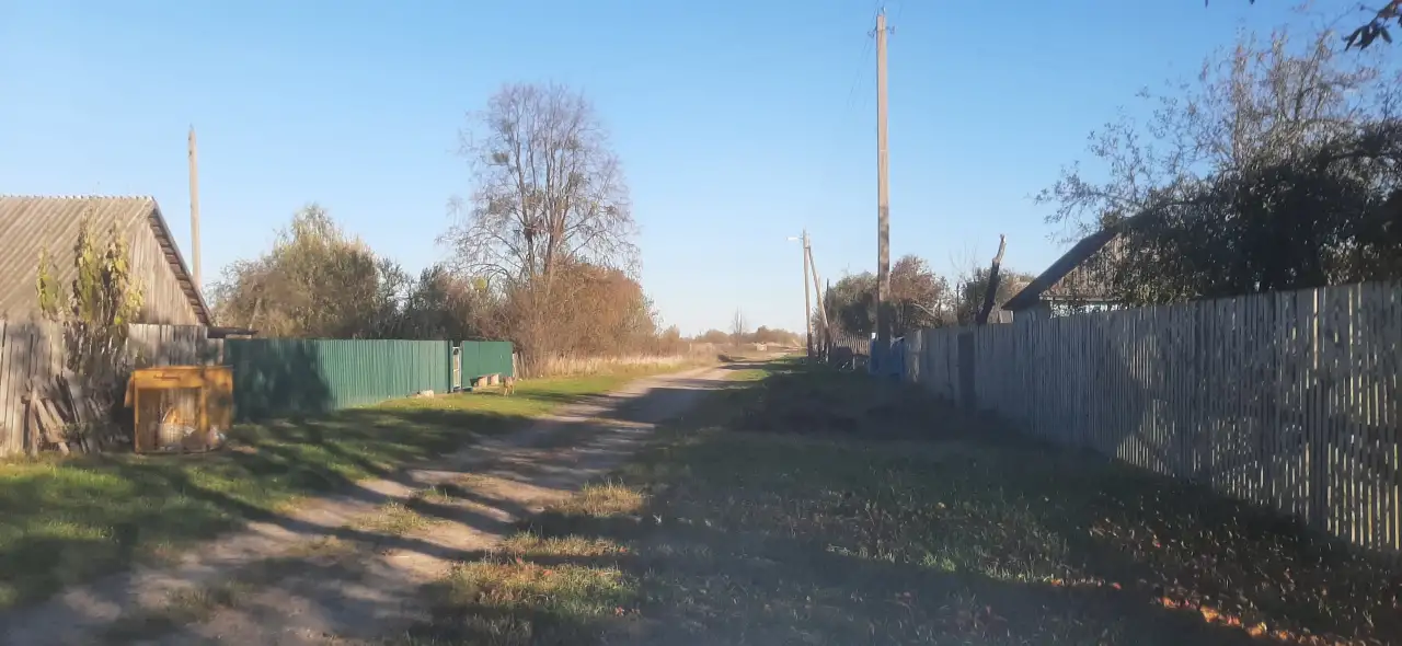 дом, Гомельская область, Мозырский район, Слобода, ул. Молодежная д.2, фотография 2