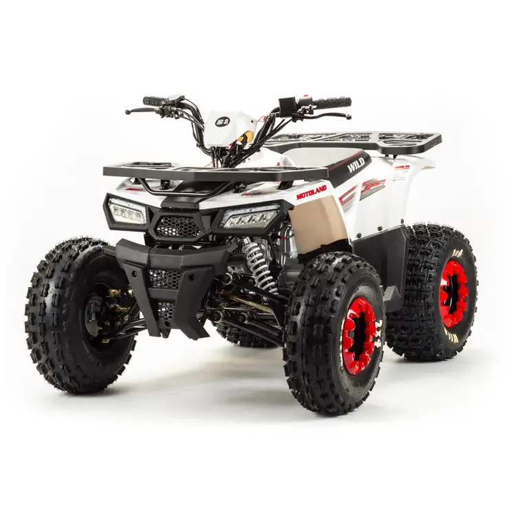 Квадроцикл ATV Motoland Wild 125 без ПТС (к-т з/ч), фотография 12