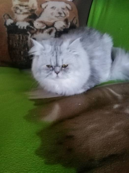 вязка, фотография 1