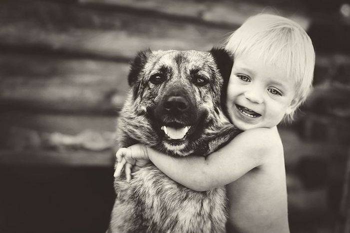 Фотограф. Фотосъёмка. Фото услуги.  , фотография 5