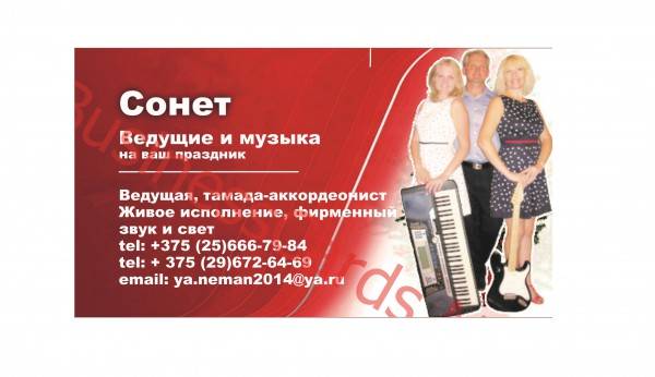 Проведение и музыкальное обслуживание торжеств, фотография 1
