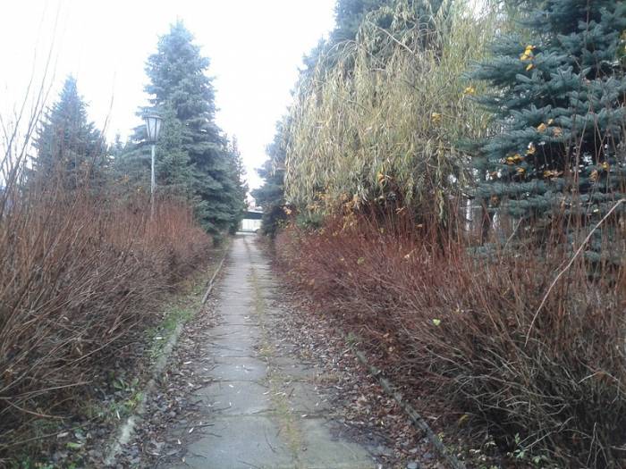 Продам коммерческую недвижимость в Беларуси. Отдельно стоящее здание в центре г.Пинск., фотография 2