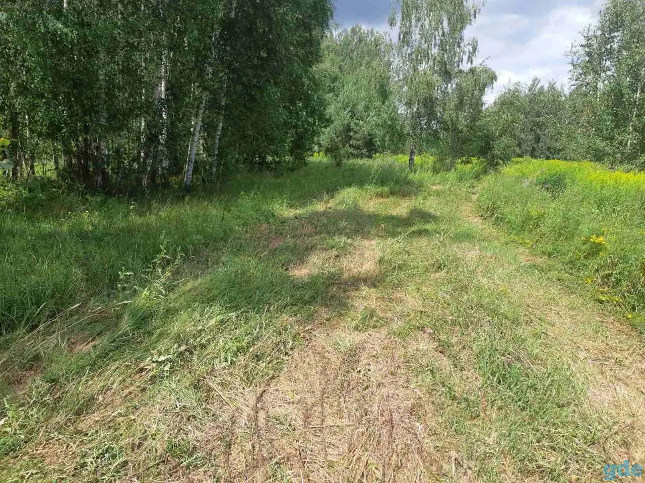 Ветхий дом, д. Светлица, ул. Октябрьская, д. 15, фотография 5