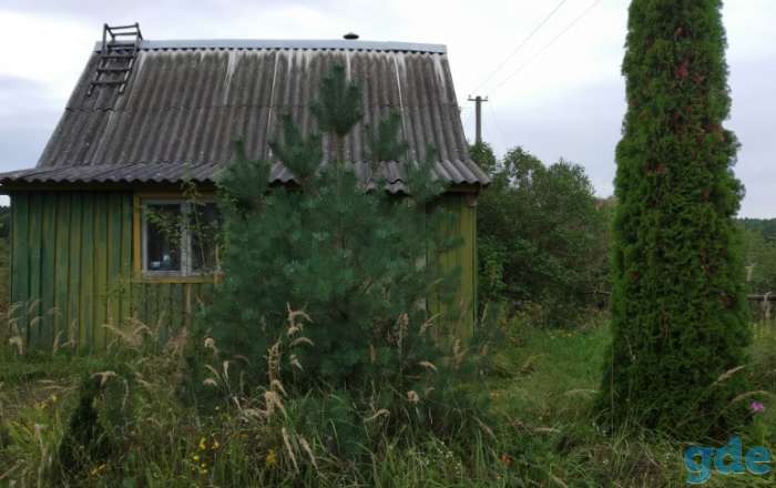 Продажа эемельного участка, Могилевская область Шкловский р-н Старошкловский с/с СТ «СТРОММАШИНА», фотография 2