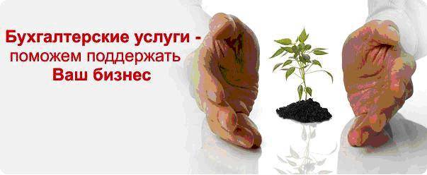 Ведение бухгалтерского учета для ИП,ООО, ЧУП, фотография 1
