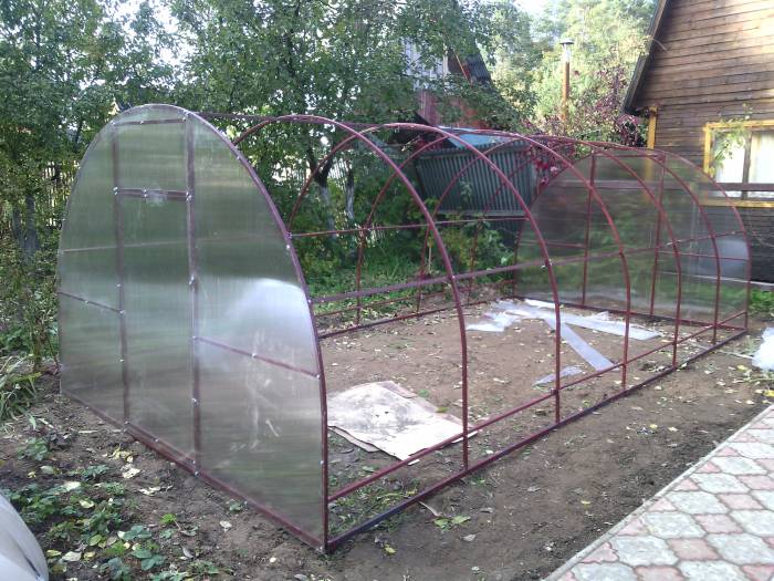 Теплица, фотография 3