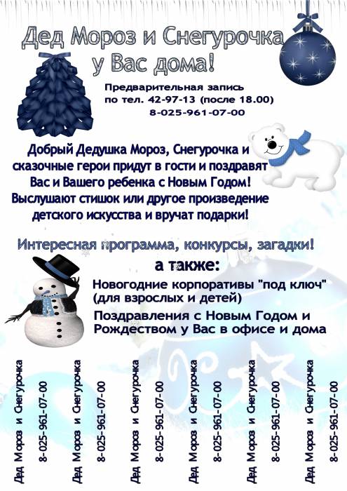 Дед Мороз и Снегурочка у Вас дома, фотография 2