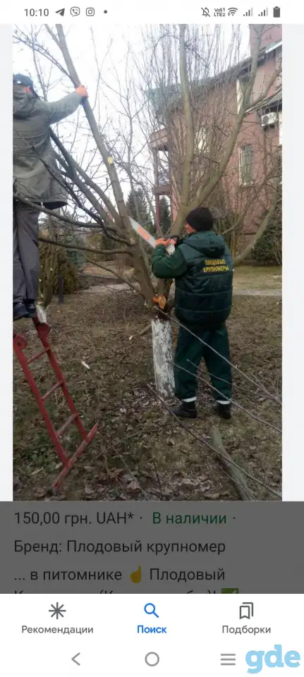 Обрезка деревьев. ПОКОС ТРАВЫ.НЕДОРОГО!!!, фотография 5