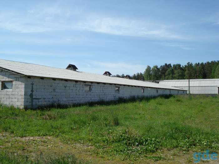 Здание 1200 м2., фотография 4