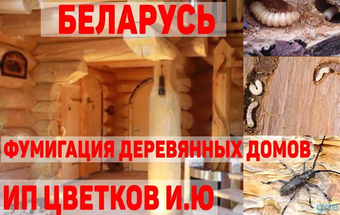 Фумигация деревянных домов, дач, построек, мебели в Беларуси!, фотография 1