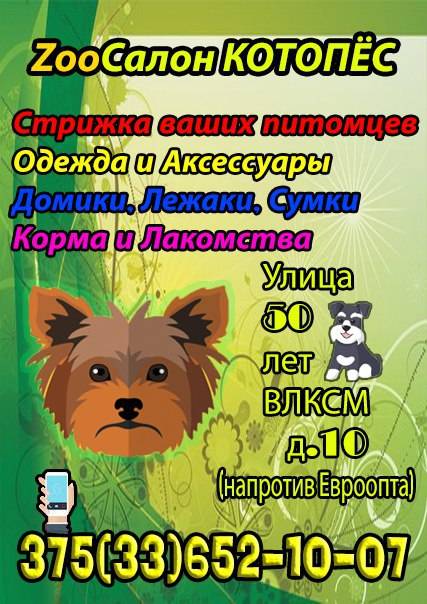 ЗооСалон КотоПёс, фотография 1