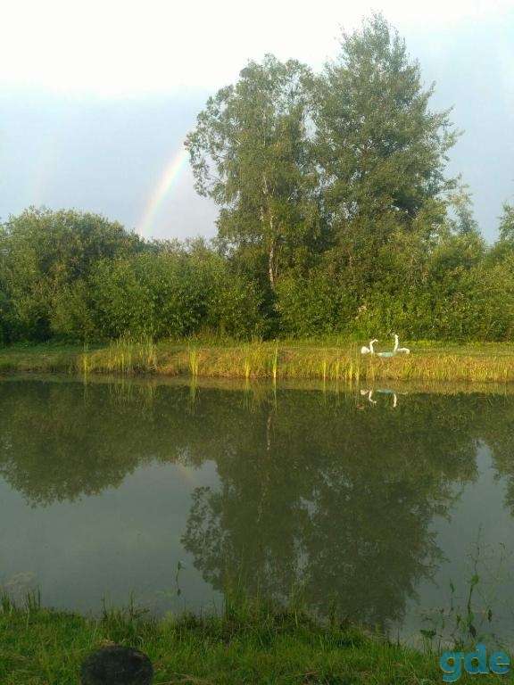 Дом-сауна 