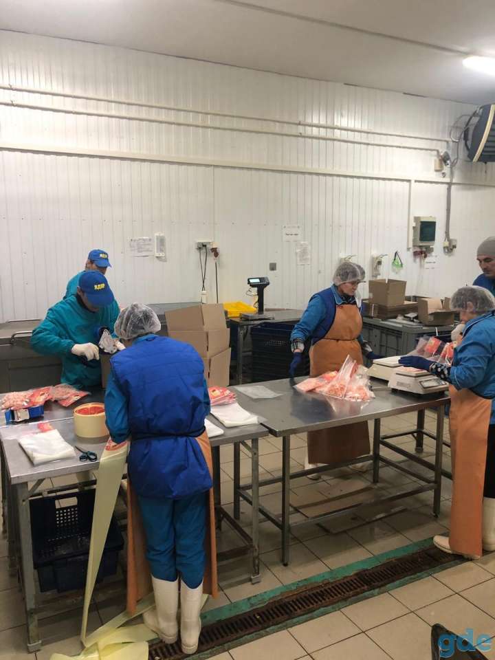 Рабочие на морепродукты. (РФ. Семейным комната), фотография 4