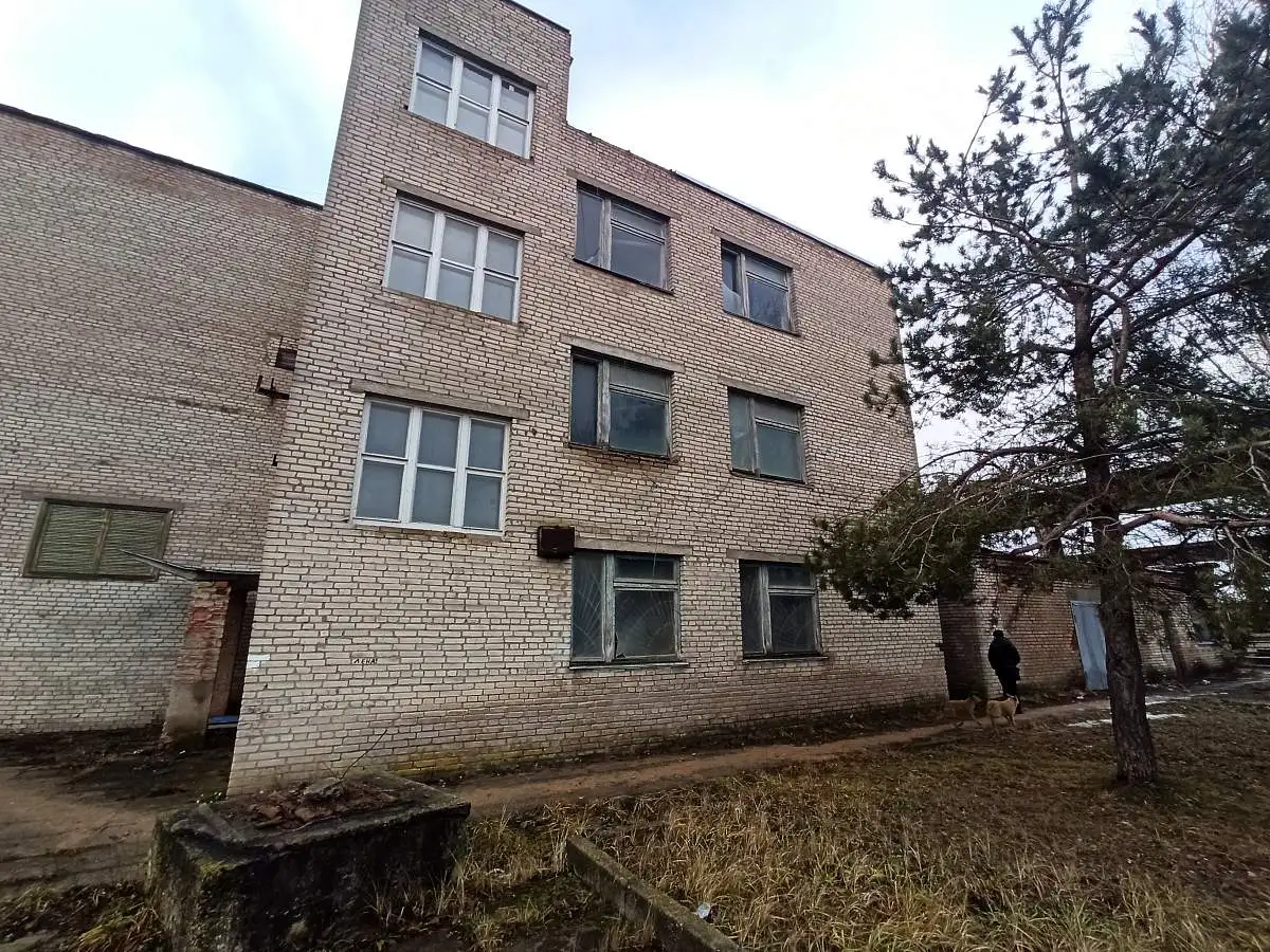 Аренда производственных/складских помещений в г. Орше, ул. Виссариона Белинского, 1, фотография 4