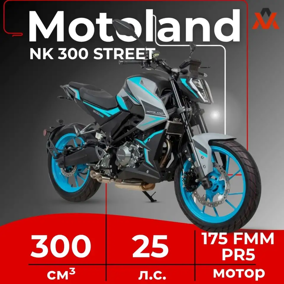 Мотоцикл Motoland 300 NK 300 STREET, фотография 1