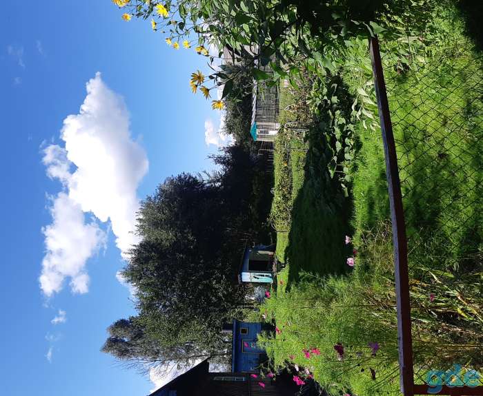 Срочно продаю дачу, С/т Наука плюс, фотография 6