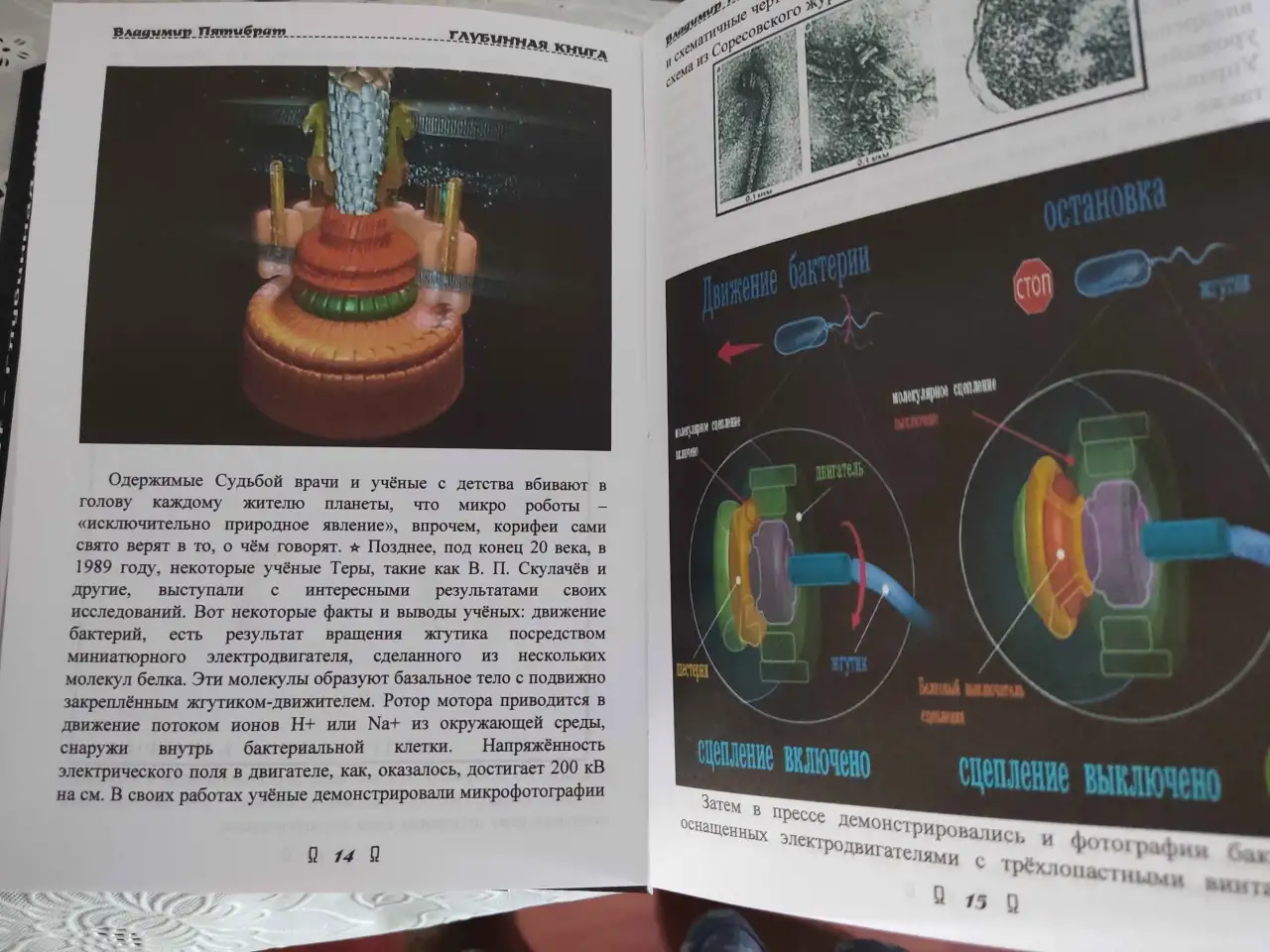 ГЛУБИННАЯ КНИГА. Владимир Пятибрат ПОЛНАЯ ВЕРСИЯ, фотография 3