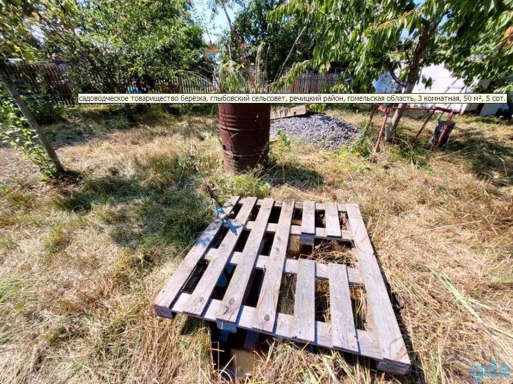 Дача (Милоград, Речицкий р-н), фотография 12