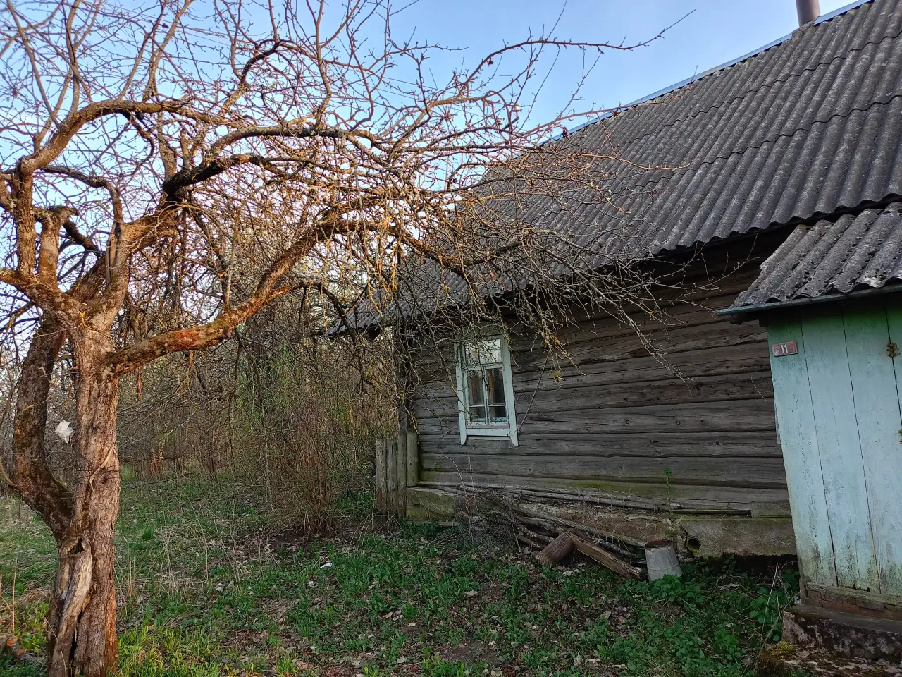 Дом в д. Громницы, фотография 2