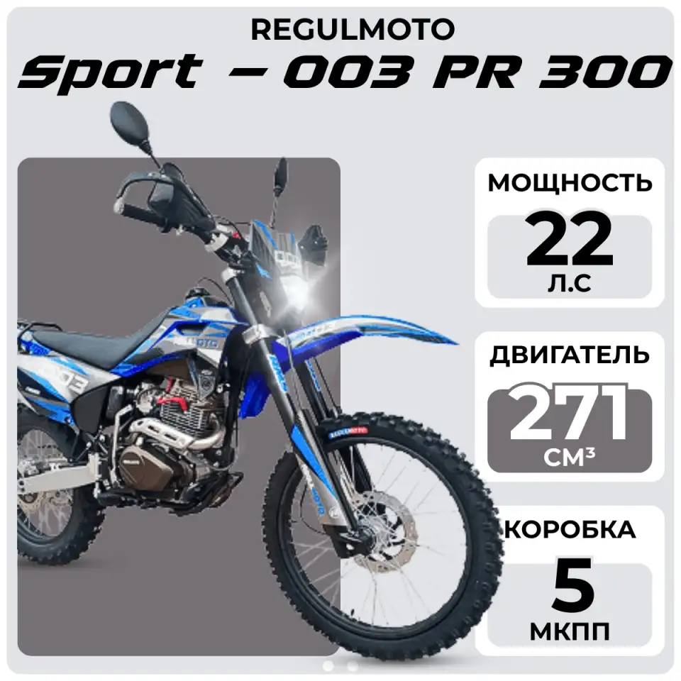 Мотоцикл Regulmoto Sport-003 PR 300, фотография 1