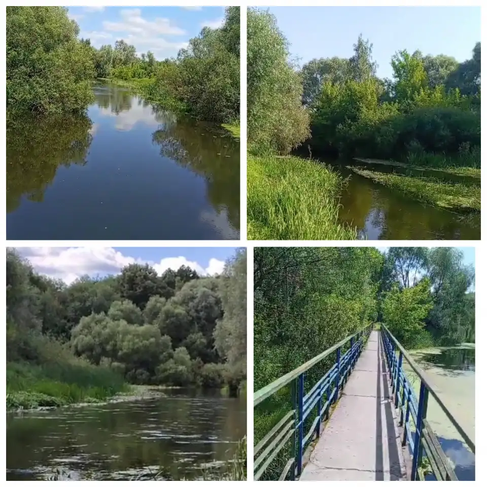 Продам дачу, СТ Добосна, фотография 6