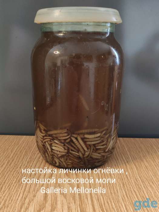 Огневка , ПЖВМ , пчелиное мумиё , мёд с экстрактом пчелиного мумиё., фотография 4