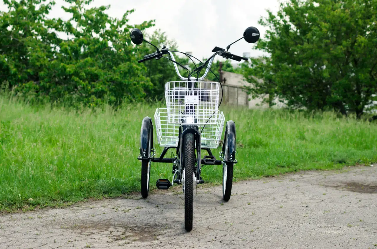 Электровелосипед AVM E-ALFA TRIKE 24, фотография 2