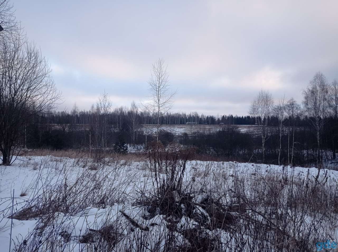 Продам участок (дом под снос), ул. Центральная д.29, фотография 5