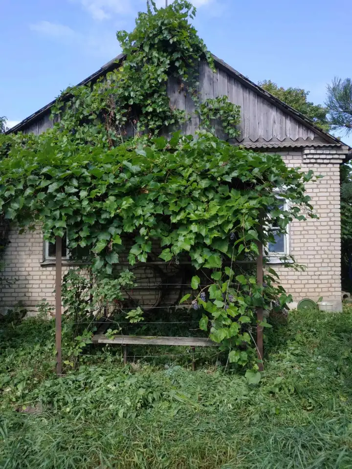 Продаю дом с участком, д.Тычинки ул. Центральная д.11, фотография 5