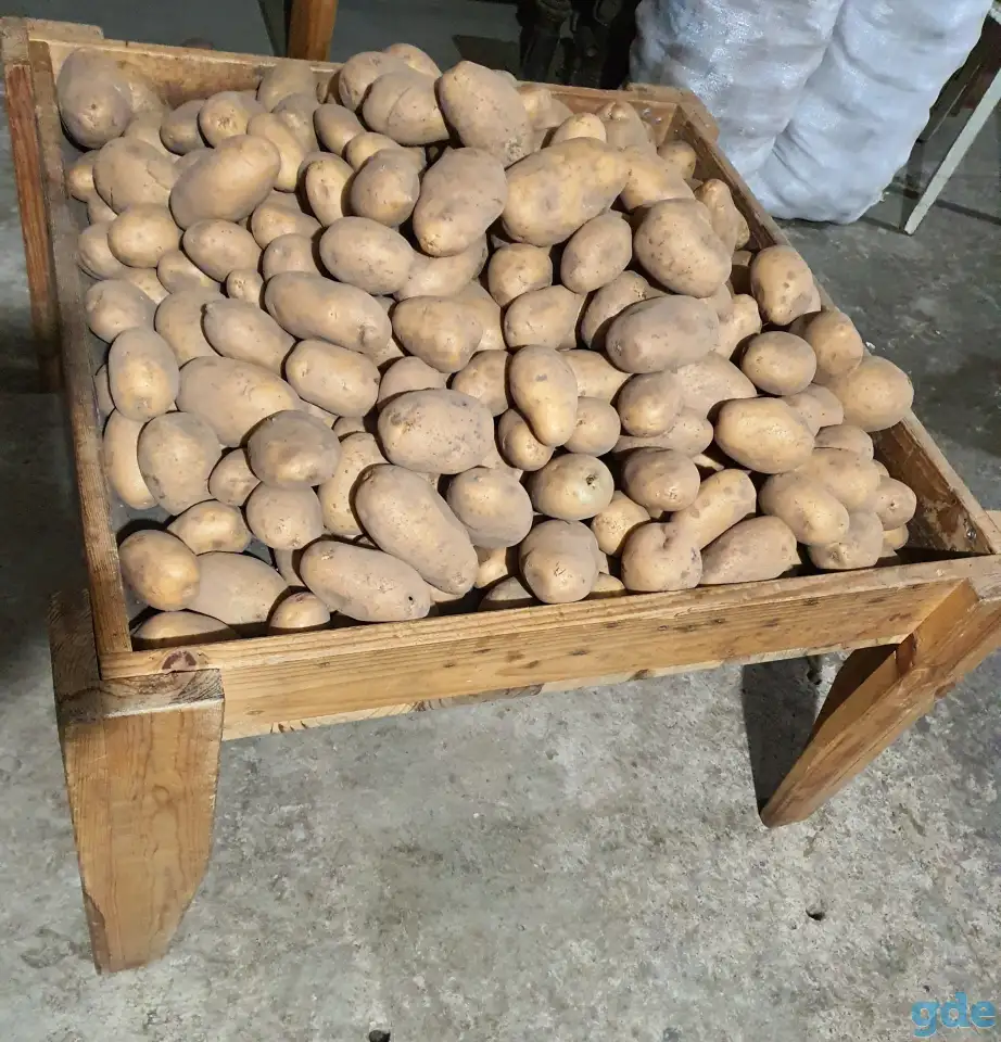 Картофель, фотография 3