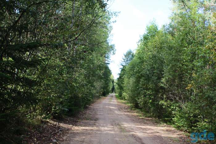 Продам уединенный, уютный и безопасный хутор ок. 100 км от Минска по Гродненской трассе с удобствами, фотография 1